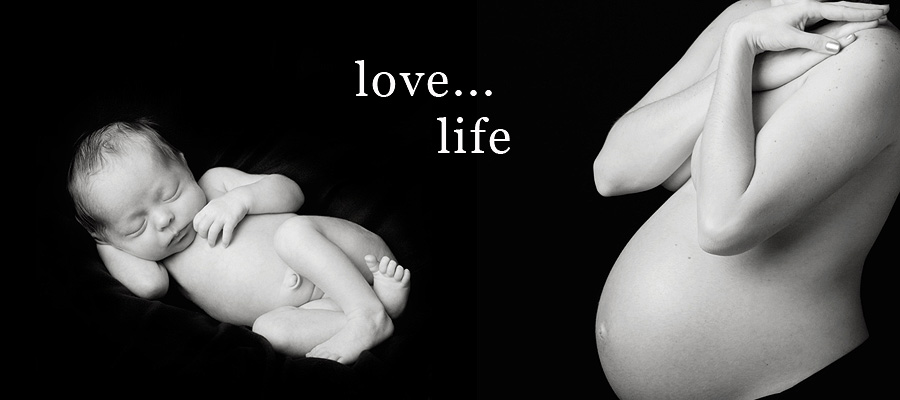 maternity, newborn, family portraits